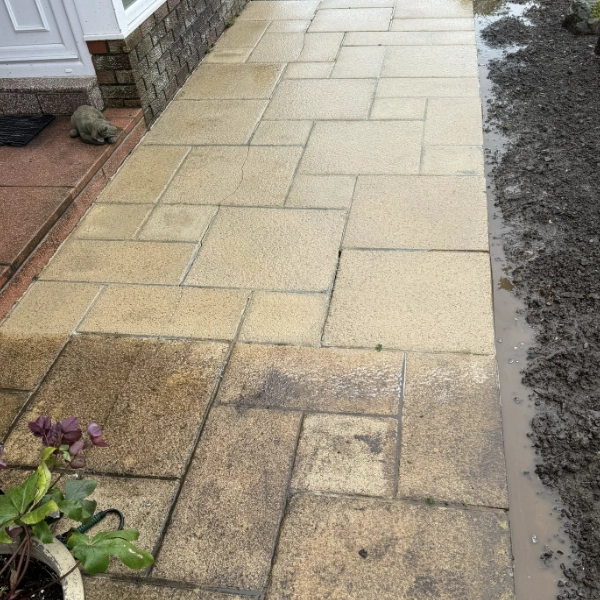 Patio Cleaning images